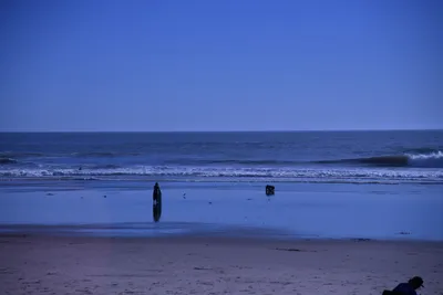 DSC_0872 (Large).JPG